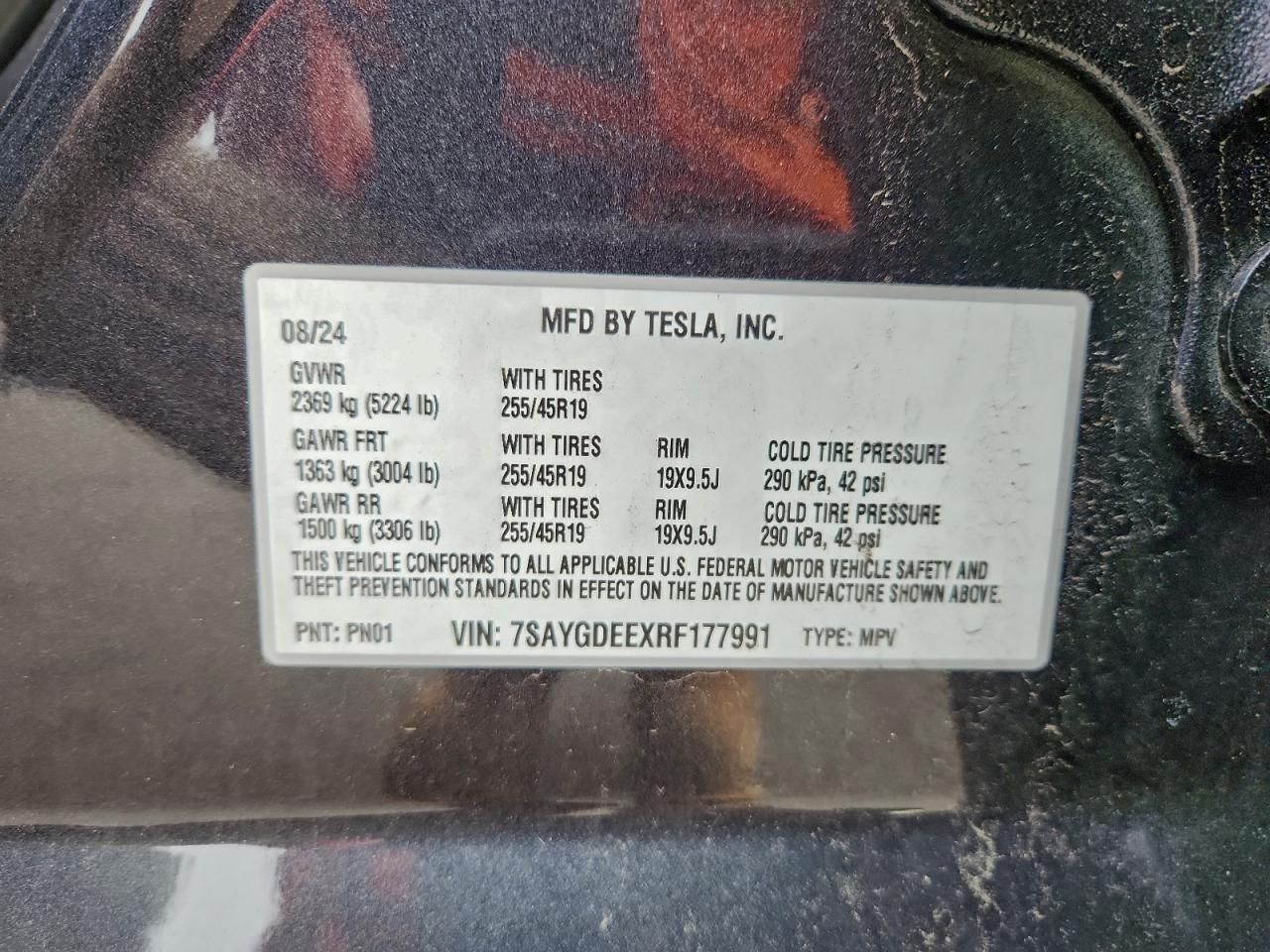 2024 TESLA MODEL Y