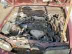 2004 HONDA ACCORD
