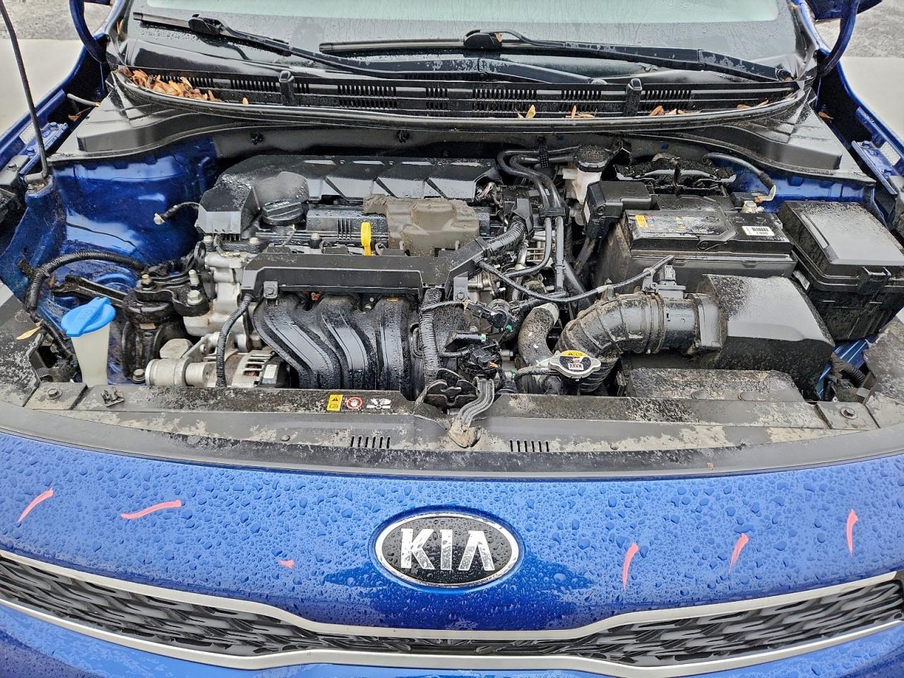 2020 KIA RIO