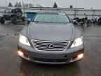 2012 LEXUS LS 460