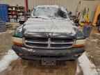 2002 DODGE Dakota