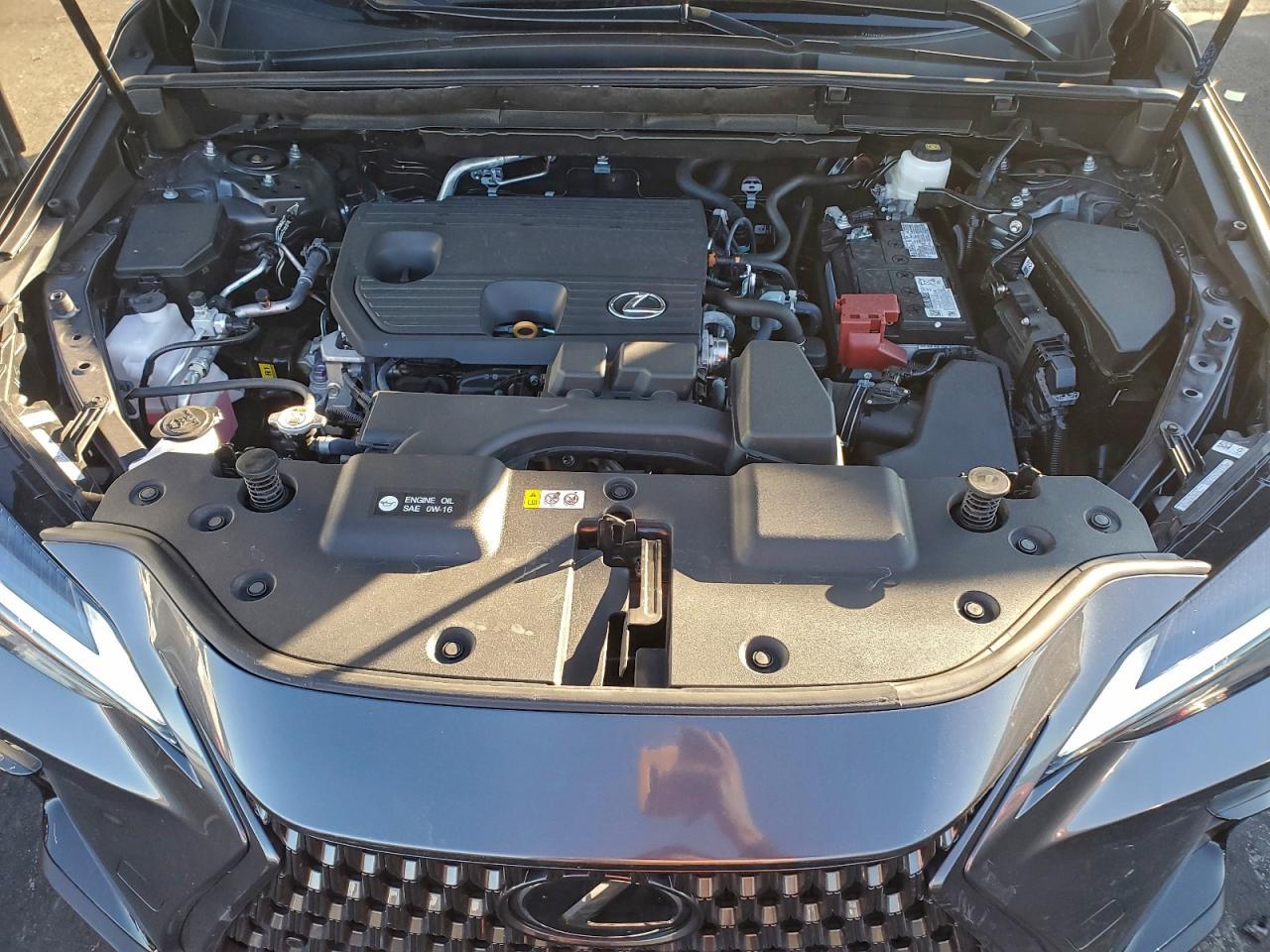 2025 LEXUS NX 250