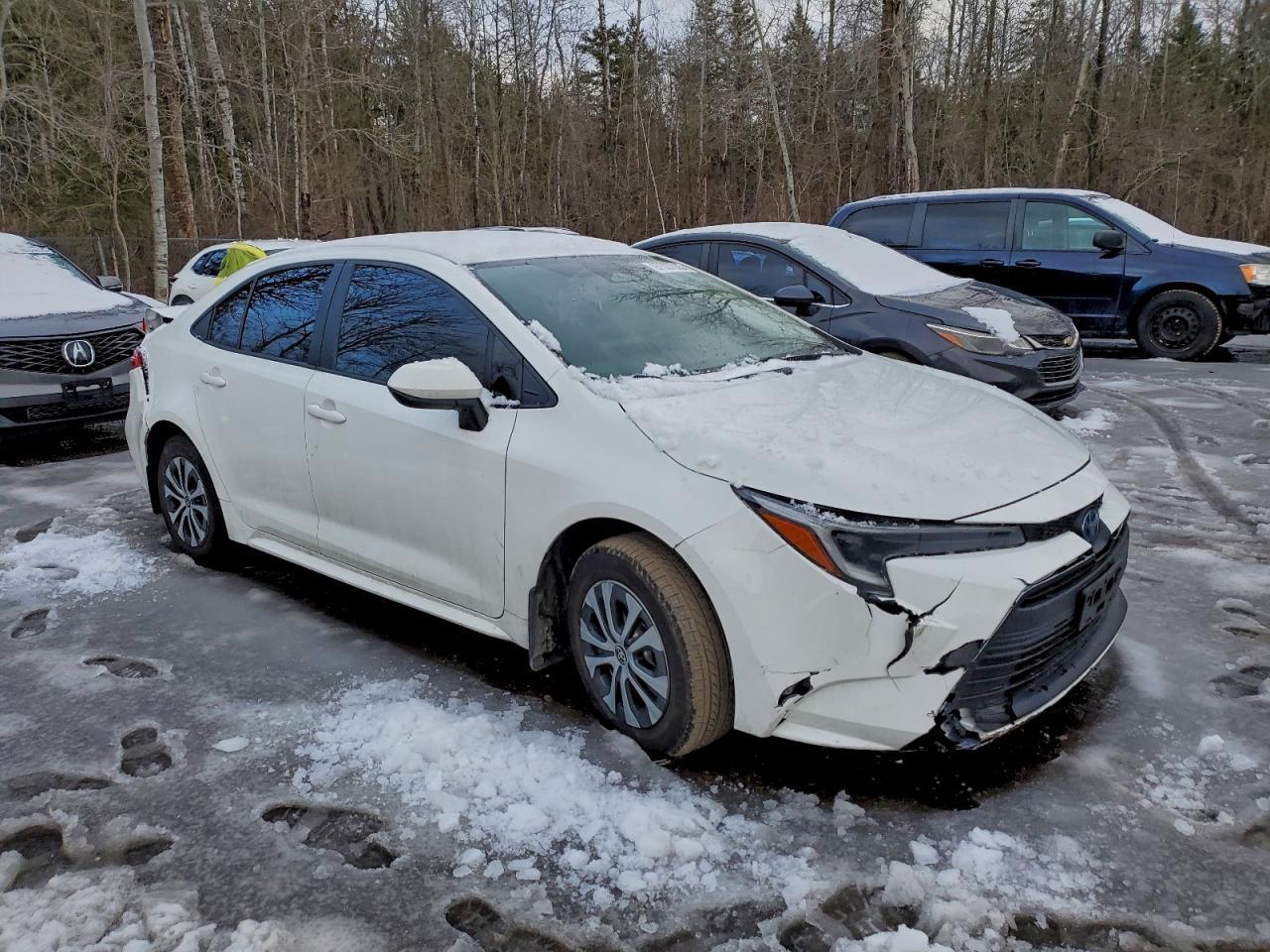 2023 TOYOTA COROLLA