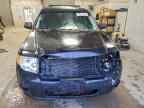 2010 FORD ESCAPE