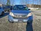 2010 HONDA CR-V