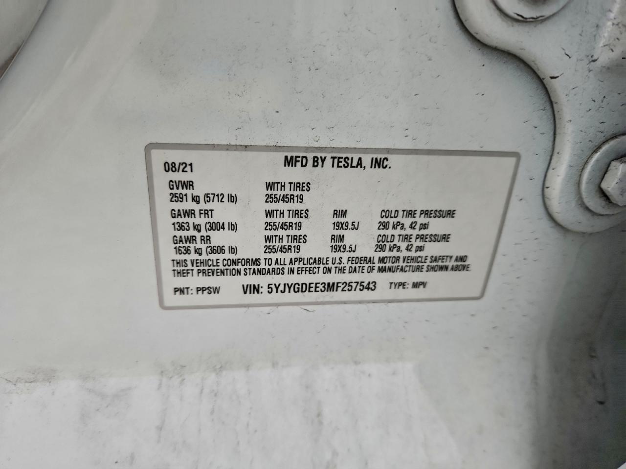 2021 TESLA MODEL Y