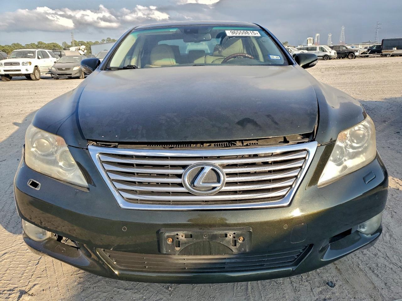 2010 LEXUS LS 460