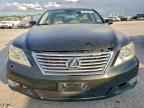 2010 LEXUS LS 460