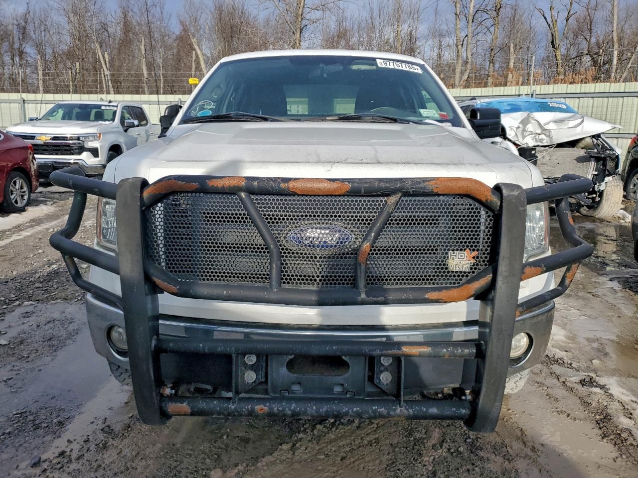 2010 FORD F-150