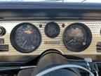 1981 PONTIAC Firebird