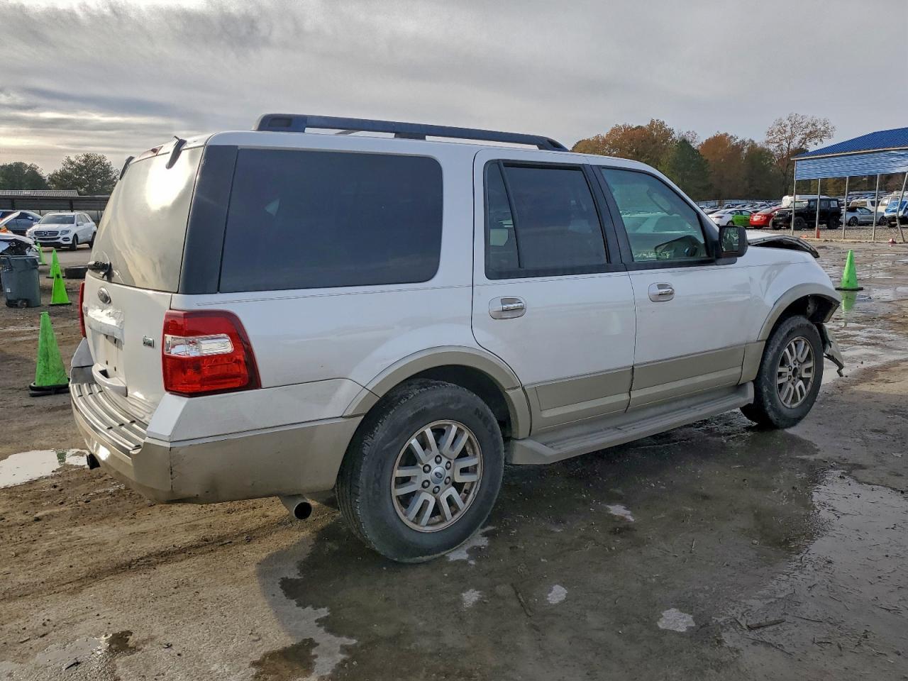 2010 FORD Expedition