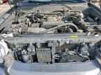 2005 TOYOTA Sequoia