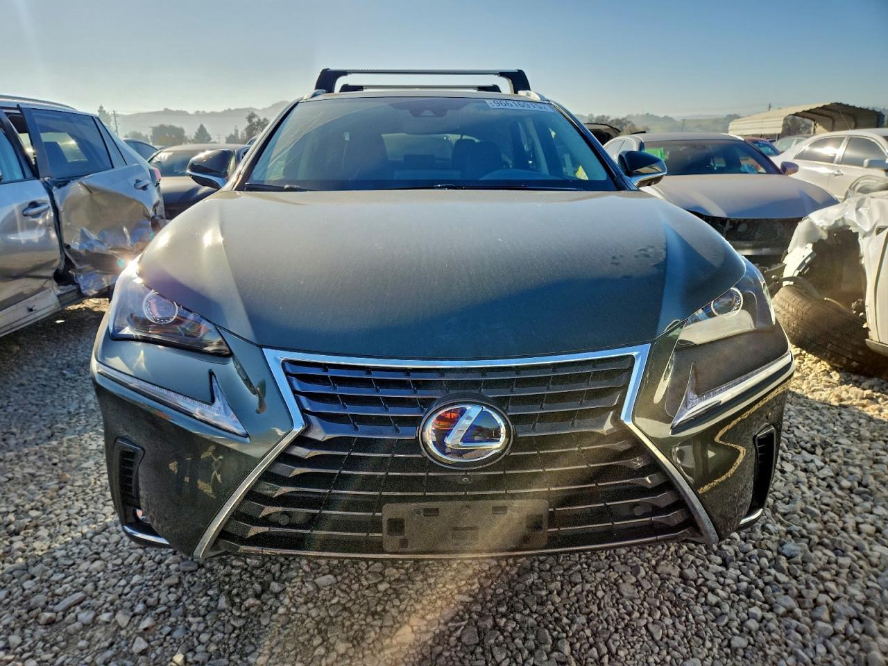 2021 LEXUS NX 300H
