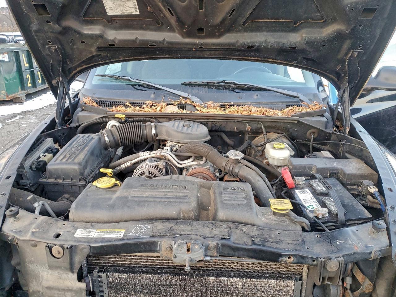 2003 DODGE Dakota