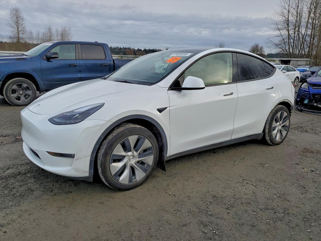 2026 TESLA MODEL Y