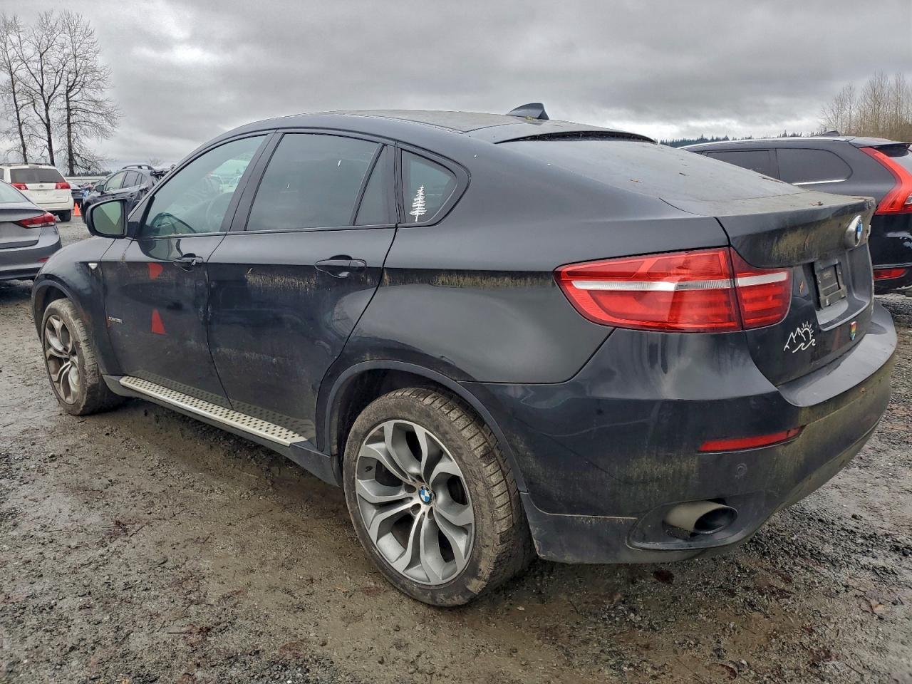 2013 BMW X6