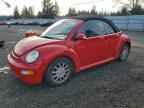 2005 VOLKSWAGEN Beetle