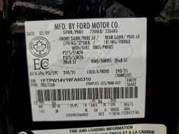 2009 FORD F-150