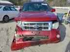 2009 FORD ESCAPE