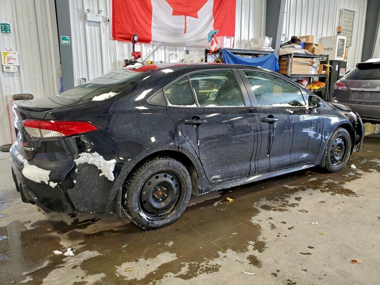 2024 TOYOTA COROLLA