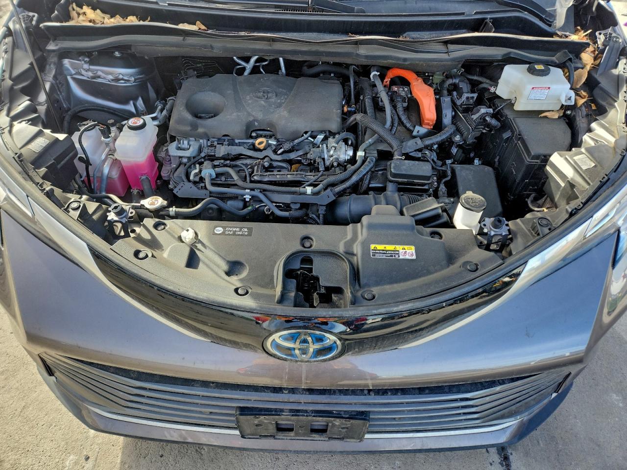 2022 TOYOTA SIENNA