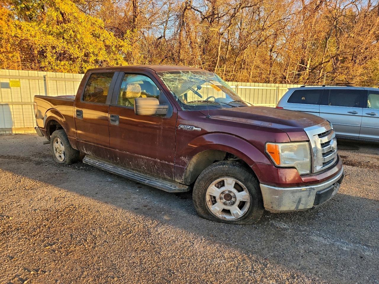 2009 FORD F-150