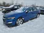 2019 CHEVROLET MALIBU