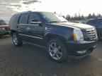 2010 CADILLAC ESCALADE