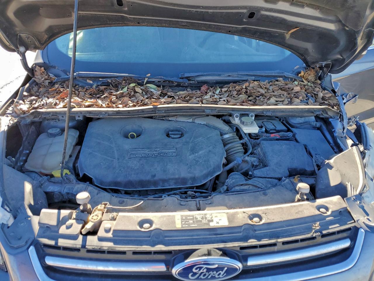 2013 FORD ESCAPE