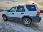 2005 FORD ESCAPE