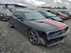 2013 DODGE Challenger