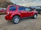 2008 FORD ESCAPE