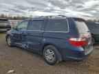 2005 HONDA ODYSSEY