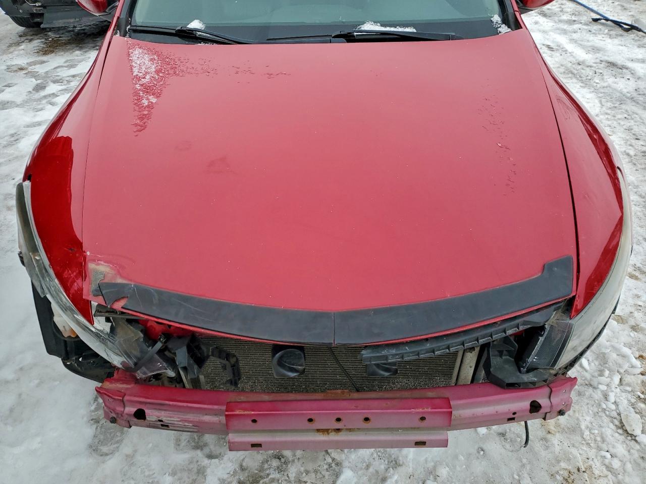 2010 HONDA ACCORD