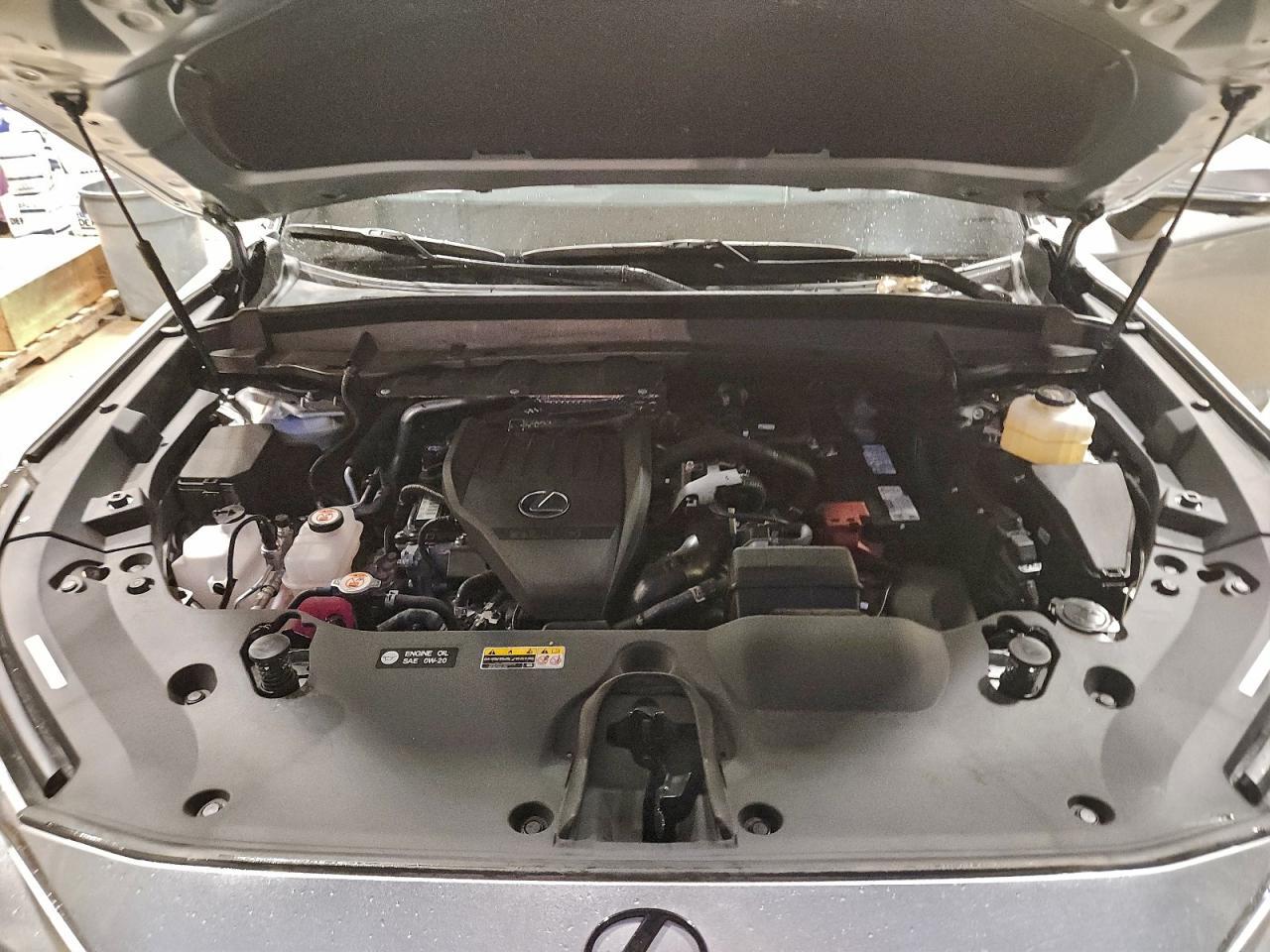 2025 LEXUS TX 350