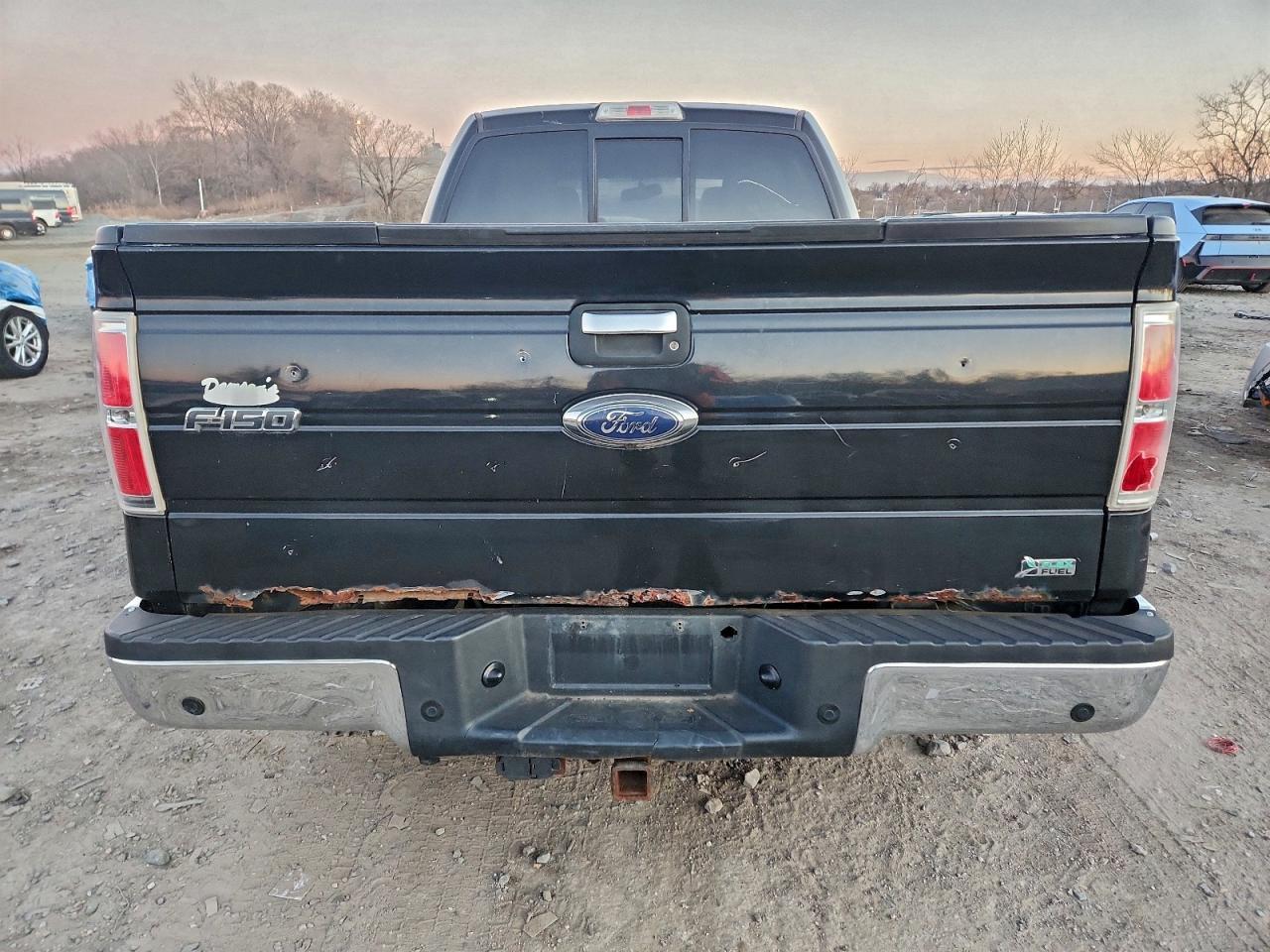 2010 FORD F-150