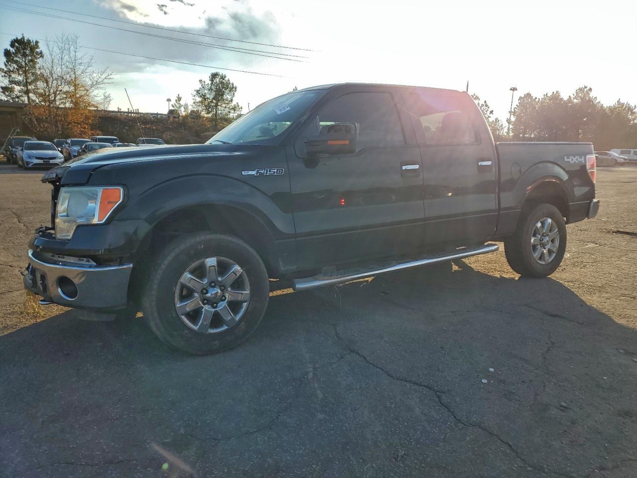 2013 FORD F-150