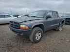 2002 DODGE Dakota
