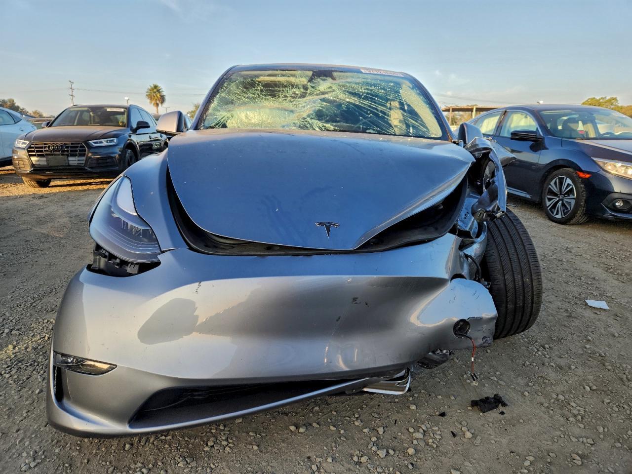 2024 TESLA MODEL Y