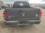 2005 DODGE Dakota