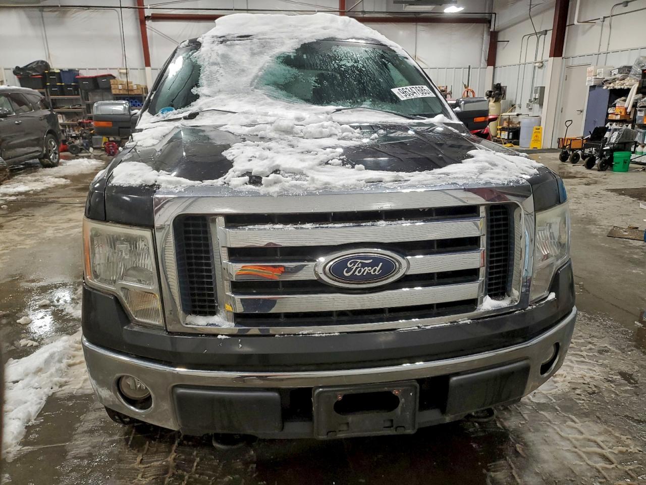 2010 FORD F-150