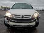 2010 HONDA CR-V
