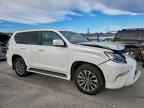 2021 LEXUS GX 460