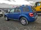 2008 FORD ESCAPE