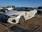 2019 NISSAN Maxima