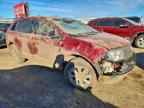 2007 LINCOLN MKX
