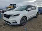 2024 KIA Carnival
