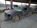 2013 DODGE CHARGER