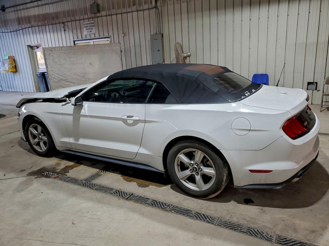 2019 FORD MUSTANG