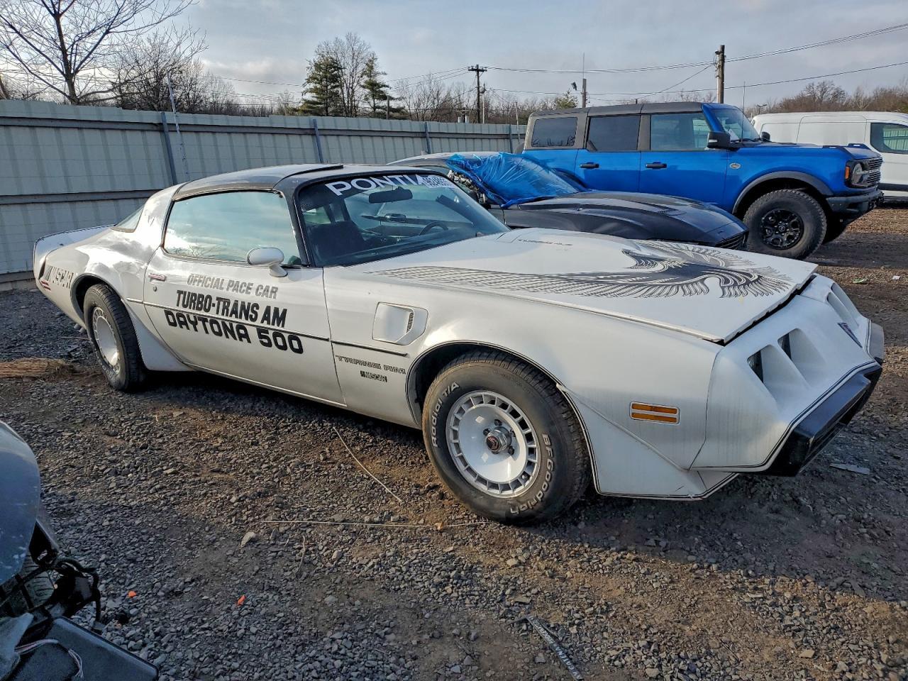 1981 PONTIAC Firebird